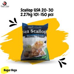 Scallop USA 20-30 2.27kg 101-150 pcs