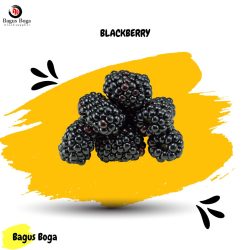 BLACKBERRY FROZEN 1KG