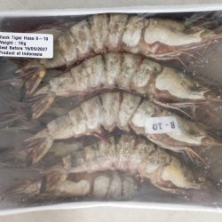 Prawn Tiger 8-10 1kg (8-10 ekor / pack)