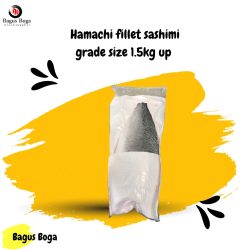 Hamachi fillet sashimi grade 1.9 - 2 KG