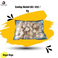 Scallop Boiled 80-100 / Kg
