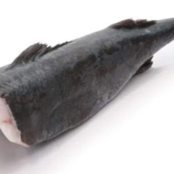 Black cod size 2.5 - 2.7 KG