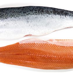 Salmon Fillet Premium Frozen 1.40-1.55 KG